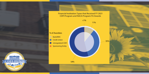 Financial Institution Types that Received FY 2021 CDFI Program and NACA Program FA Awards